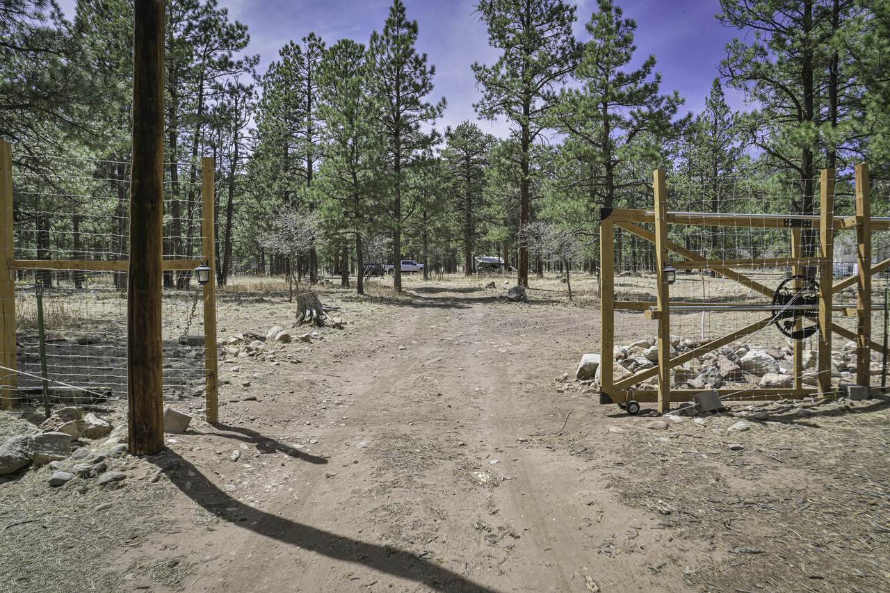 TBD Stonewall Meadows Road - Photo 1