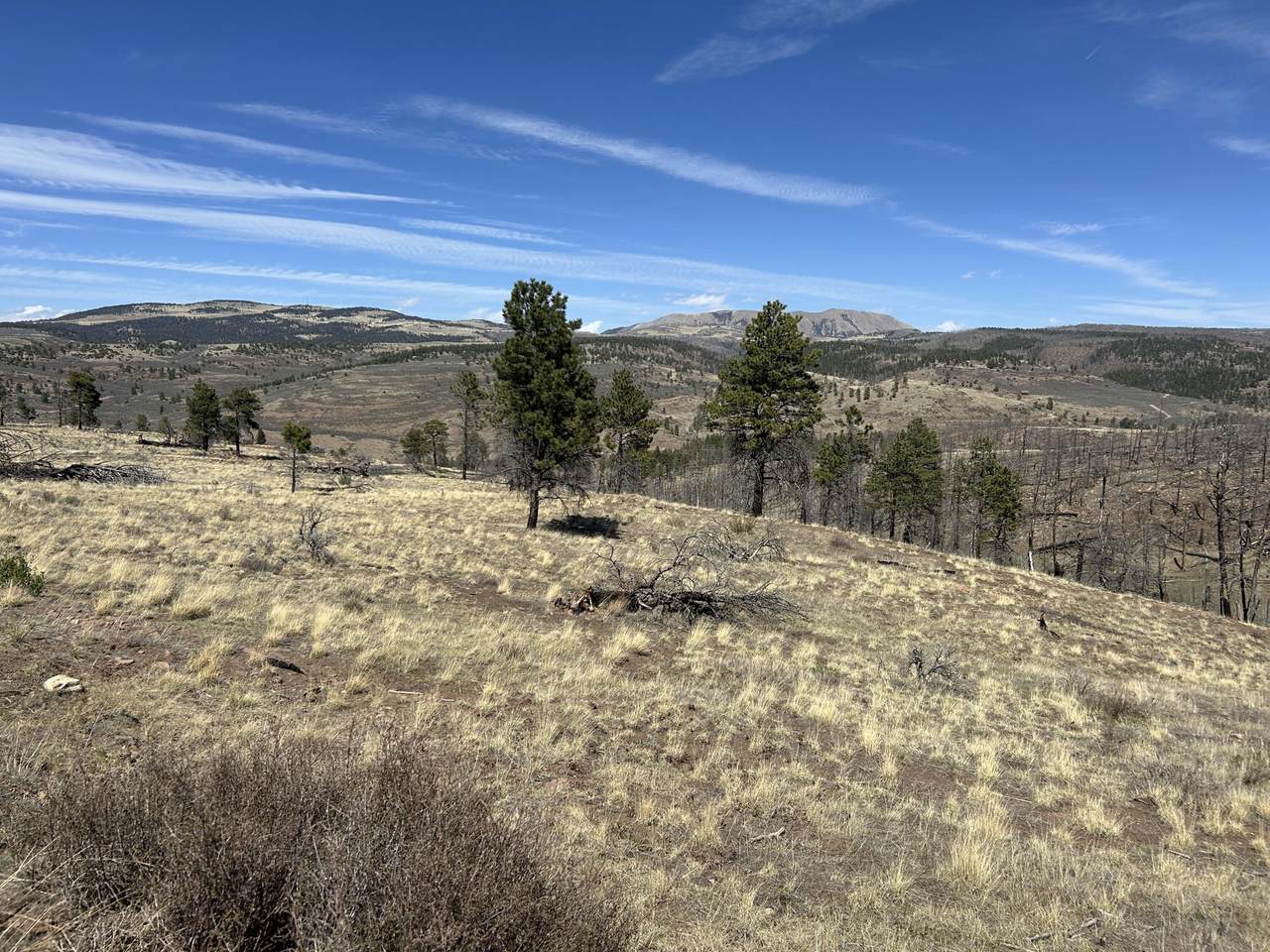 Lot 184 Forbes Park - Photo 1