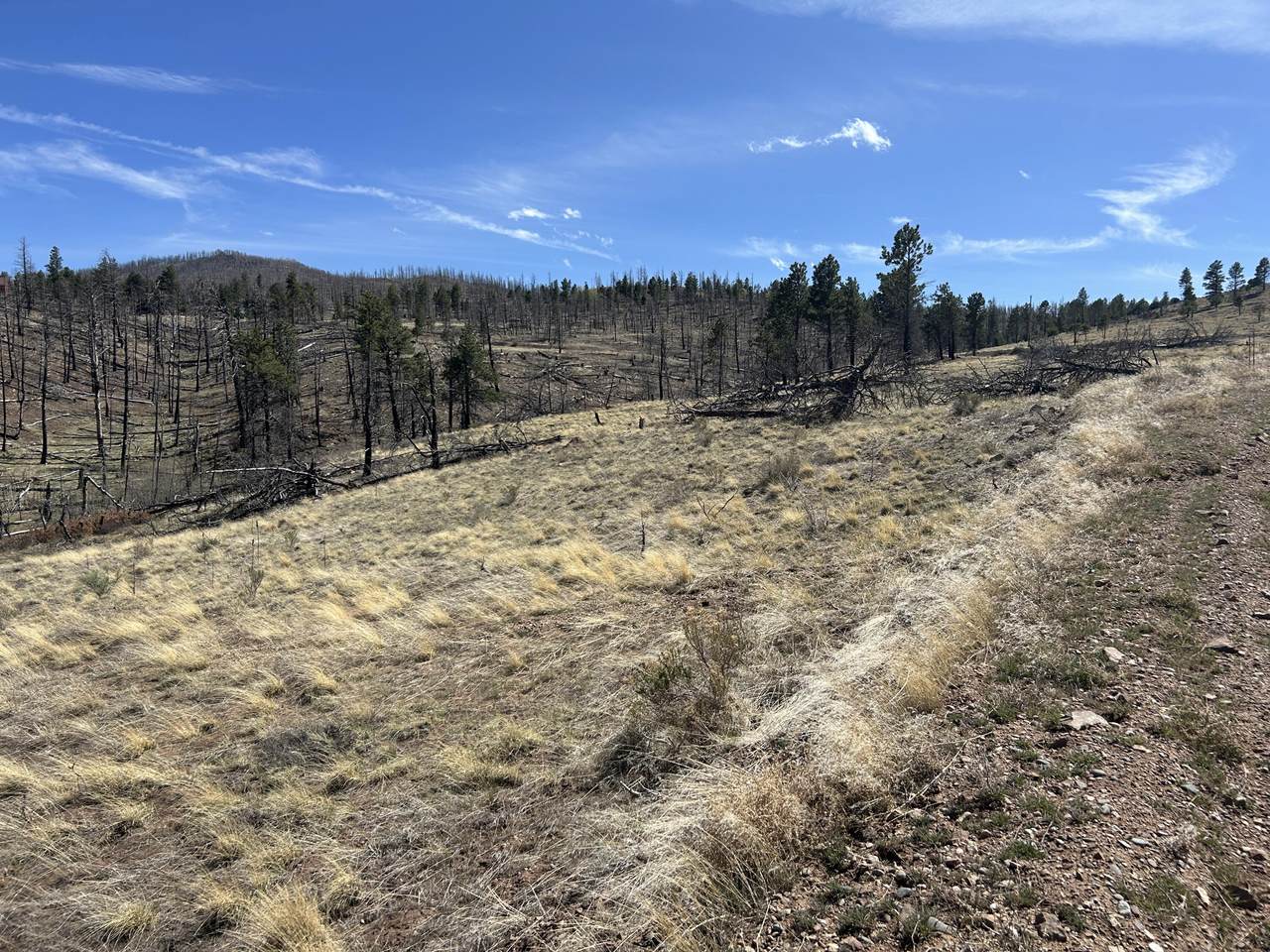 https://bt-photos.global.ssl.fastly.net/spanishpeaks/1280_boomver_1_26-381-2.jpg