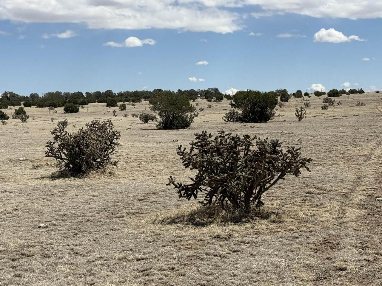 https://bt-photos.global.ssl.fastly.net/spanishpeaks/1280_boomver_1_26-388-2.jpg