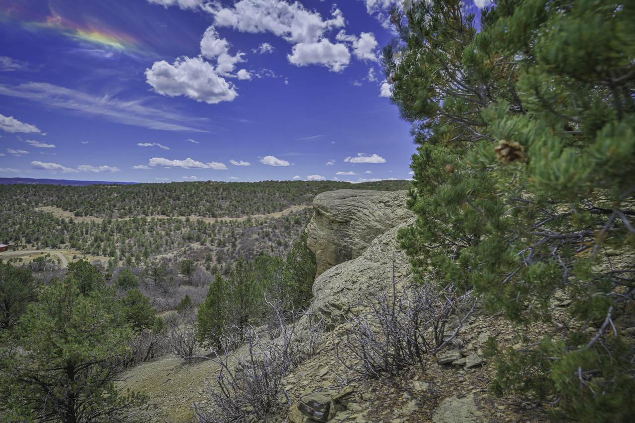 TBD Primero Ranch Lot 45 - Photo 1