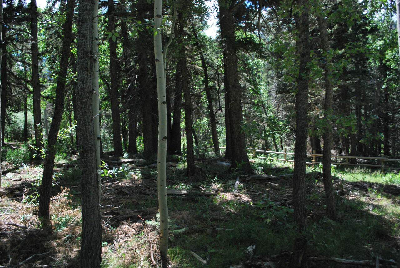 https://bt-photos.global.ssl.fastly.net/spanishpeaks/1280_boomver_1_26-406-2.jpg
