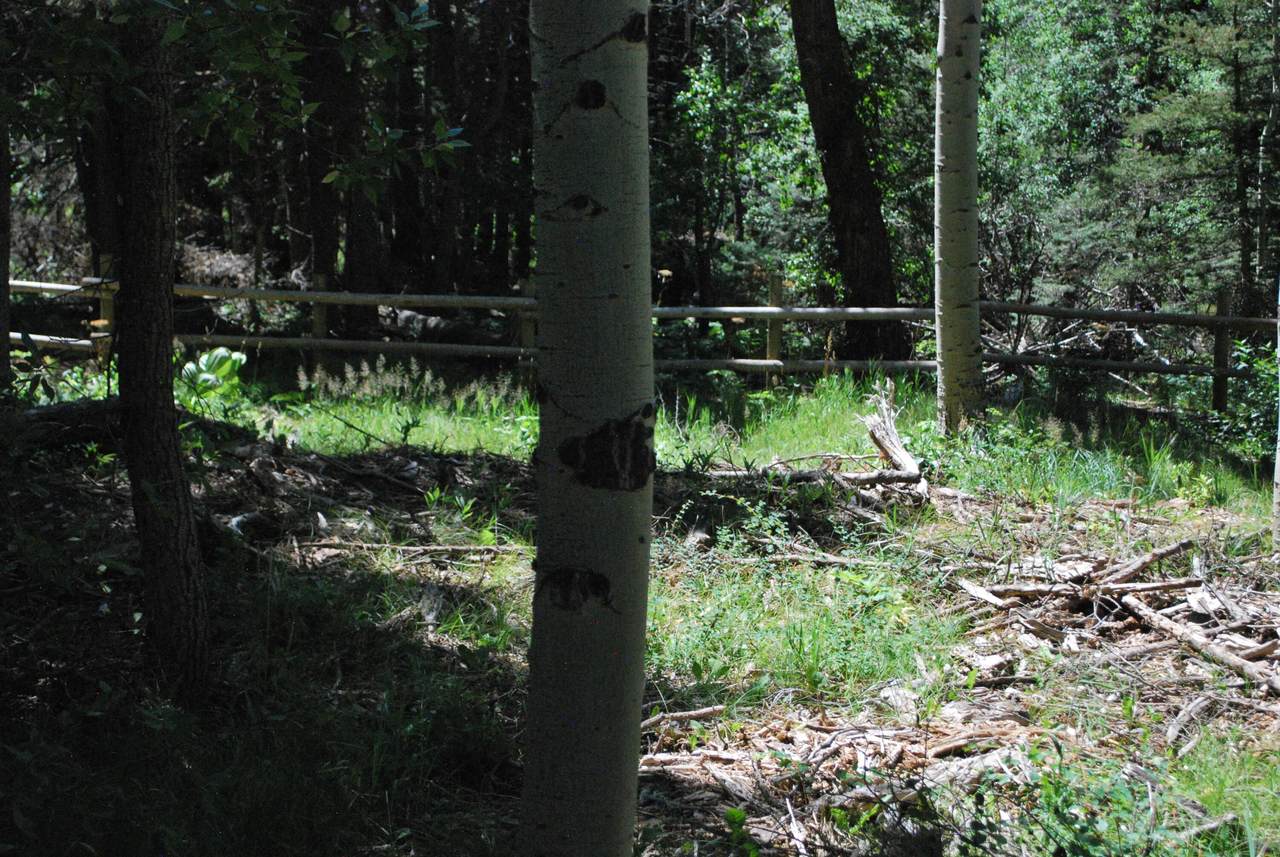 https://bt-photos.global.ssl.fastly.net/spanishpeaks/1280_boomver_1_26-406-2.jpg