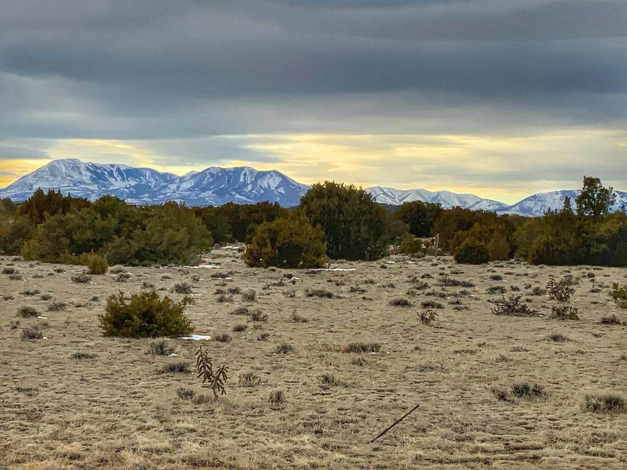 Lot 80 Turkey Ridge Ranch - Photo 1