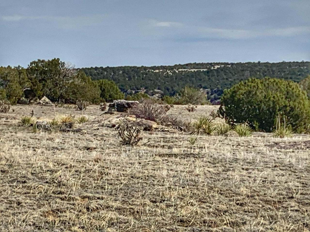 https://bt-photos.global.ssl.fastly.net/spanishpeaks/1280_boomver_1_26-413-2.jpg