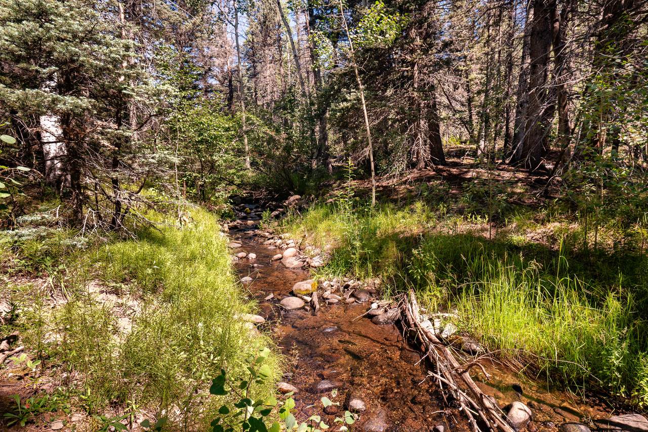 000 County Road 46 - Photo 1