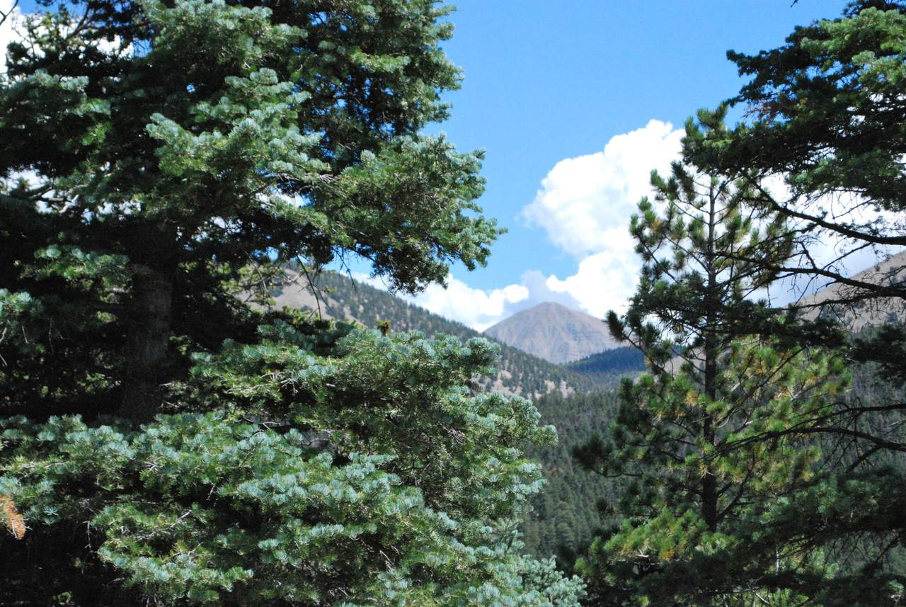 TBD Cougar Ridge - Photo 1