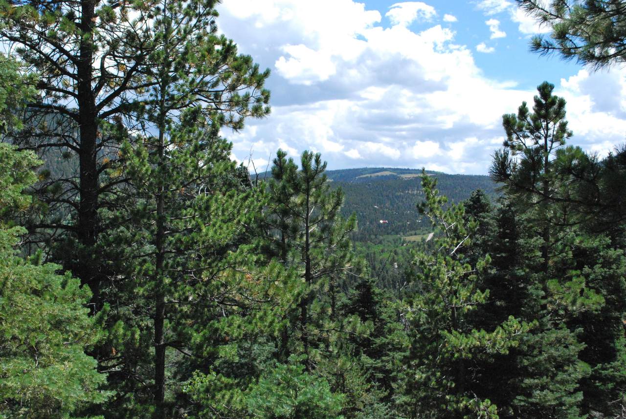 https://bt-photos.global.ssl.fastly.net/spanishpeaks/1280_boomver_1_26-416-2.jpg