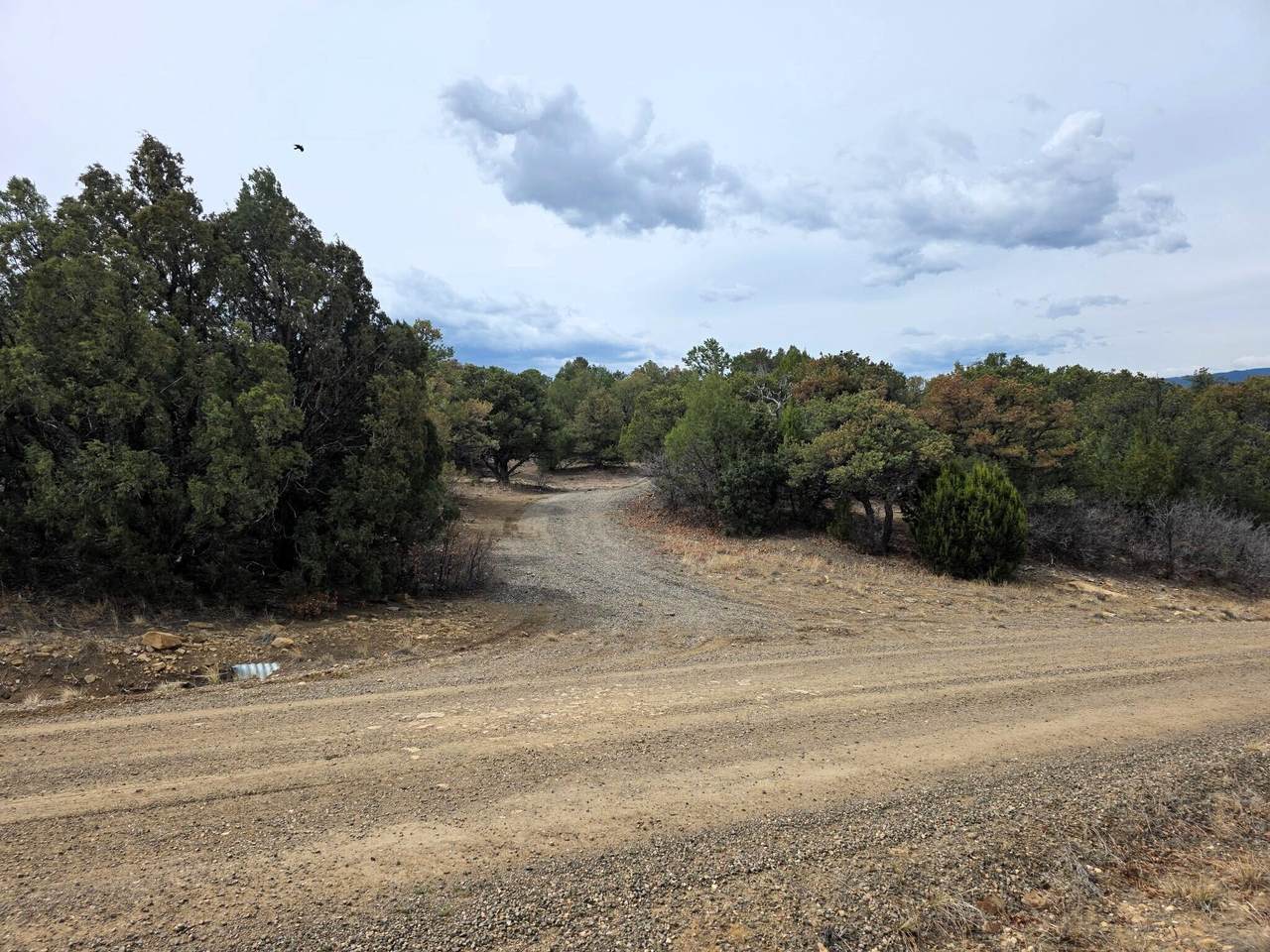  Rolling Hills Dr - Photo 1