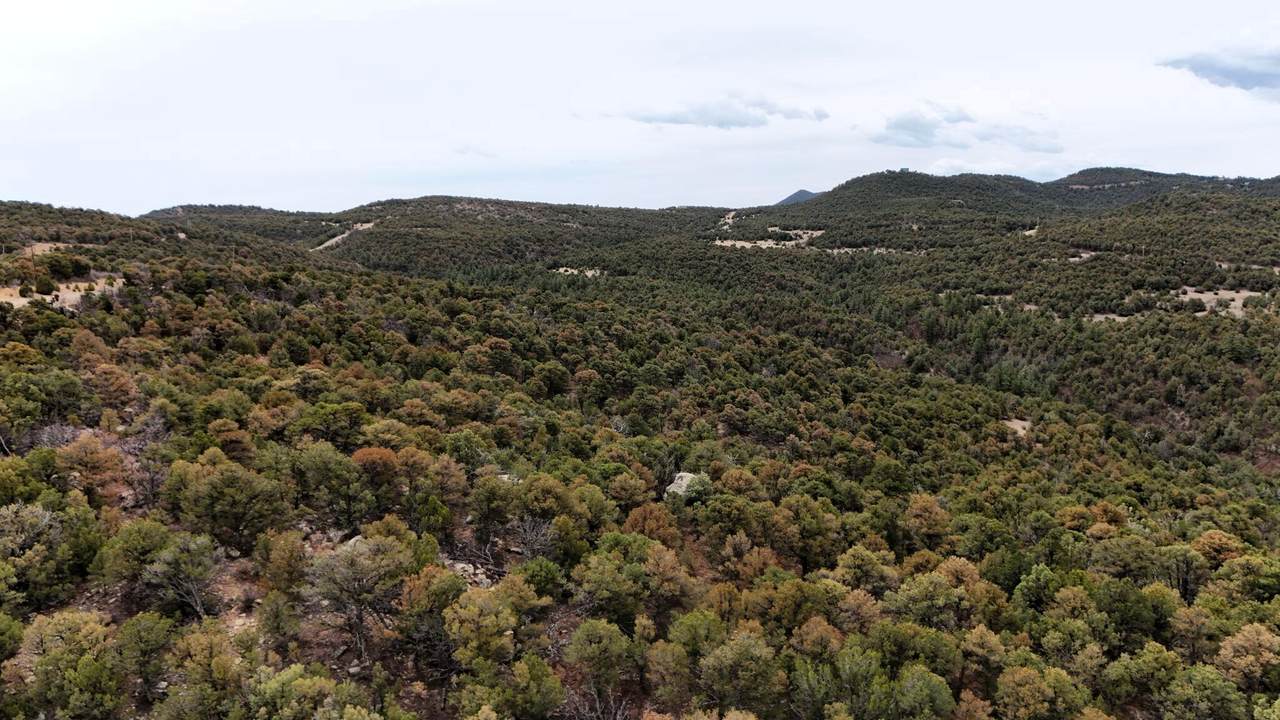 https://bt-photos.global.ssl.fastly.net/spanishpeaks/1280_boomver_1_26-428-2.jpg