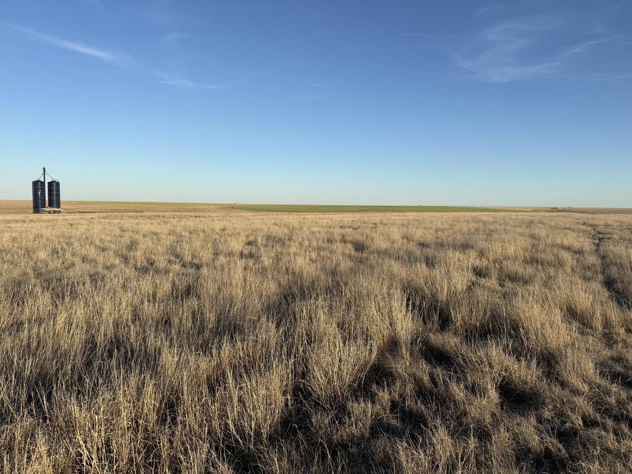 27536 County Road B - Photo 1