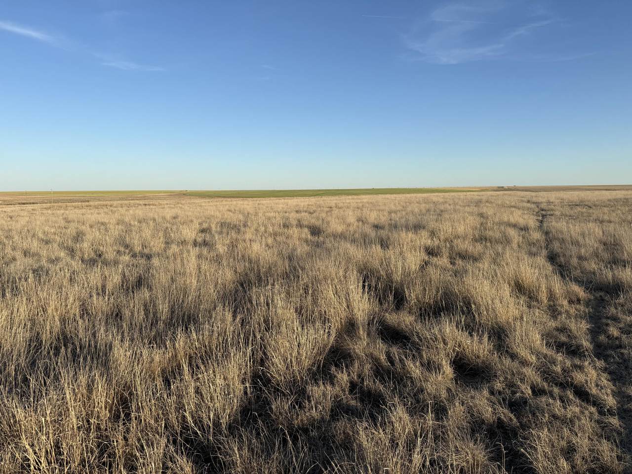 https://bt-photos.global.ssl.fastly.net/spanishpeaks/1280_boomver_1_26-442-2.jpg