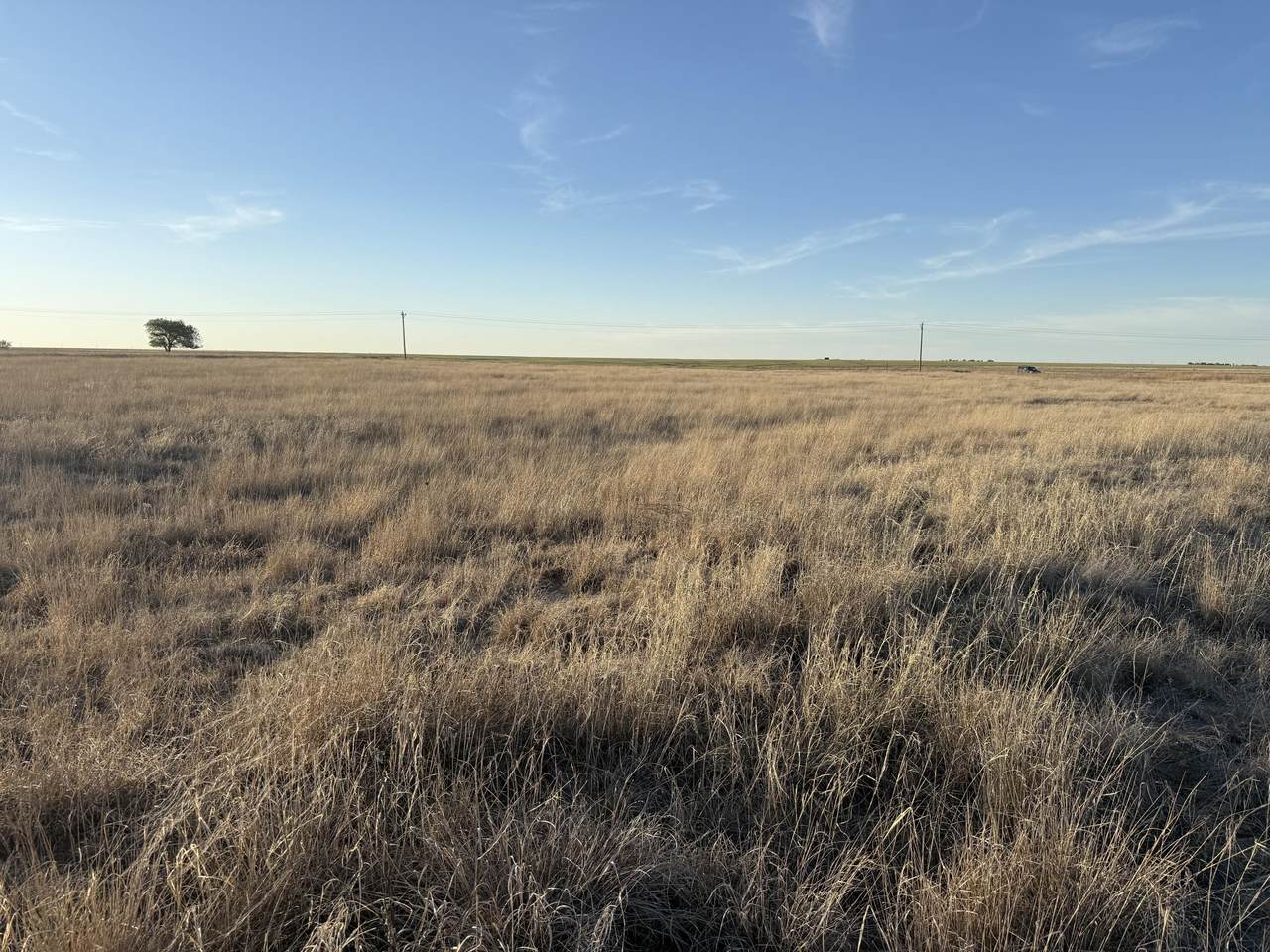 https://bt-photos.global.ssl.fastly.net/spanishpeaks/1280_boomver_1_26-442-2.jpg