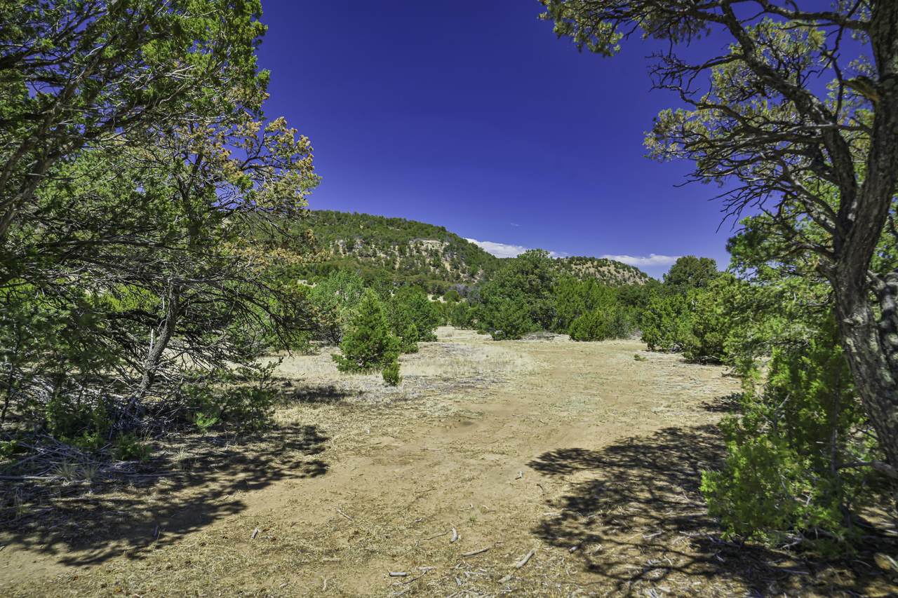 https://bt-photos.global.ssl.fastly.net/spanishpeaks/1280_boomver_1_26-457-2.jpg