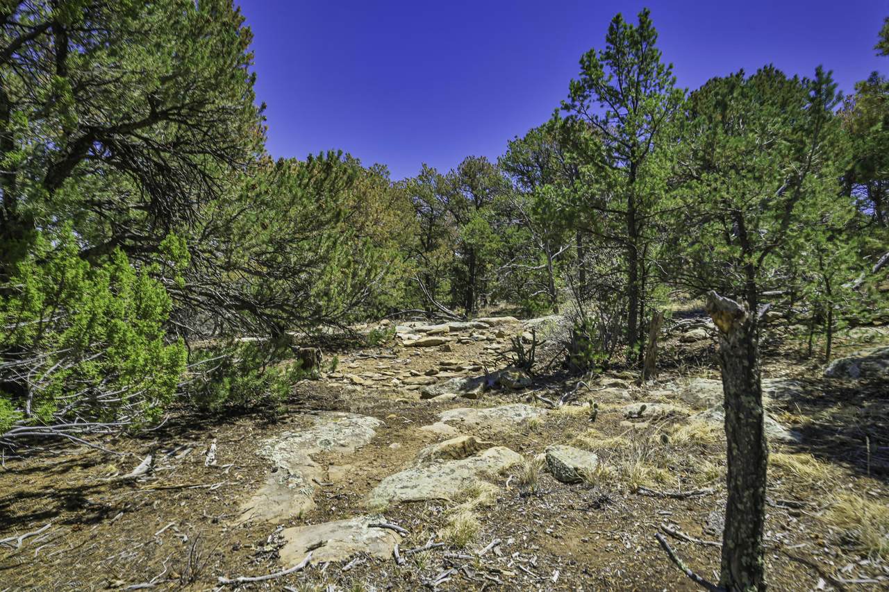 https://bt-photos.global.ssl.fastly.net/spanishpeaks/1280_boomver_1_26-457-2.jpg