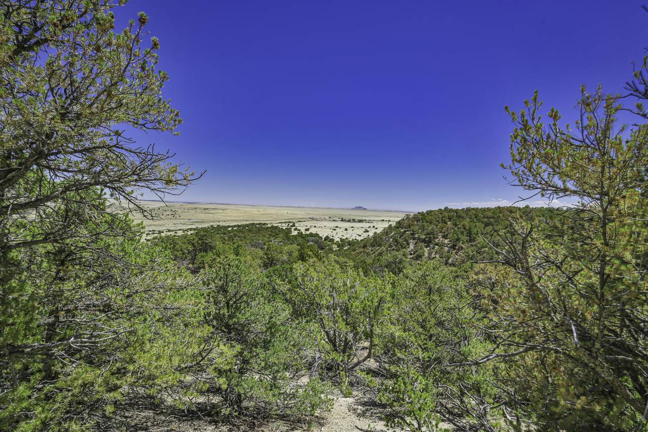 https://bt-photos.global.ssl.fastly.net/spanishpeaks/1280_boomver_1_26-457-2.jpg