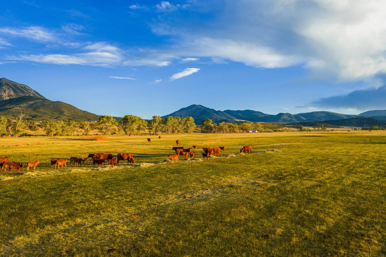 https://bt-photos.global.ssl.fastly.net/spanishpeaks/1280_boomver_1_26-471-2.jpg