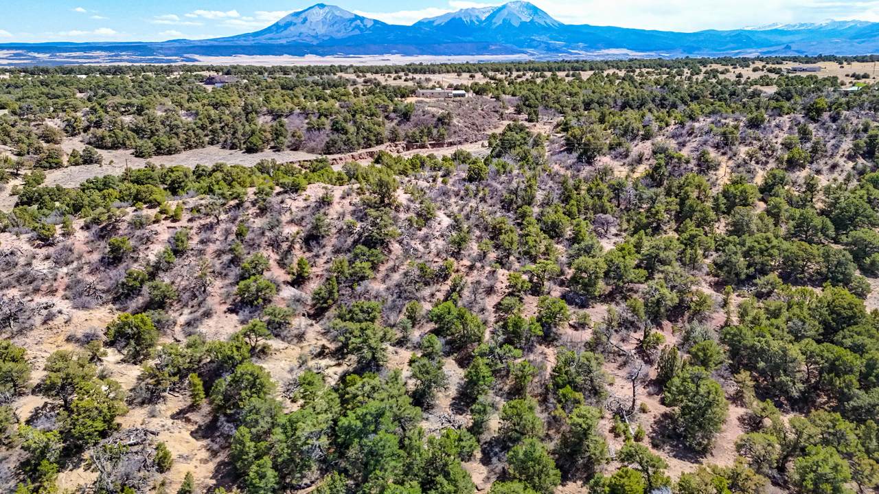 Lot 79 Navajo Ranch Resorts - Photo 1