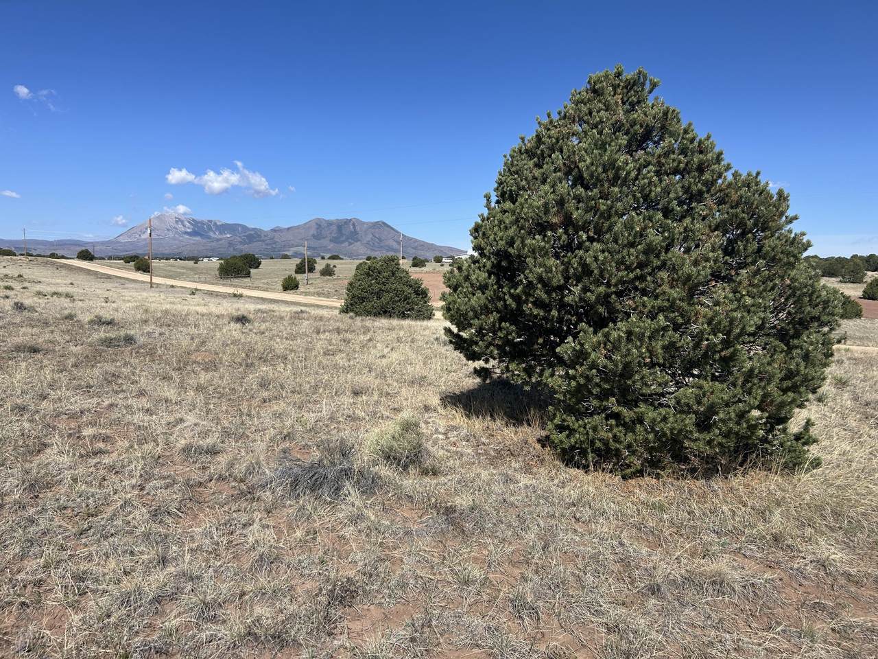 Lot 94 Navajo Ranch Resorts - Photo 1