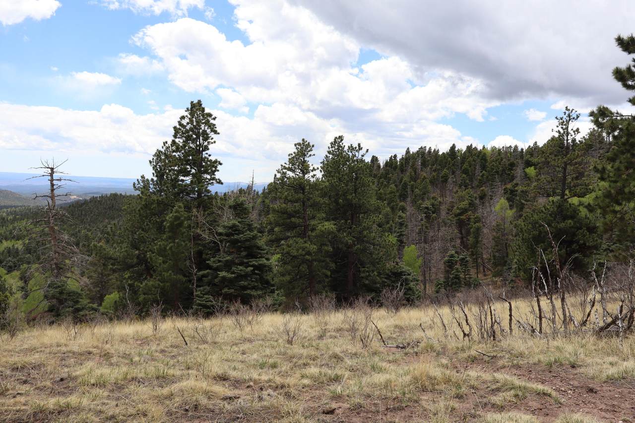 https://bt-photos.global.ssl.fastly.net/spanishpeaks/1280_boomver_1_26-494-2.jpg