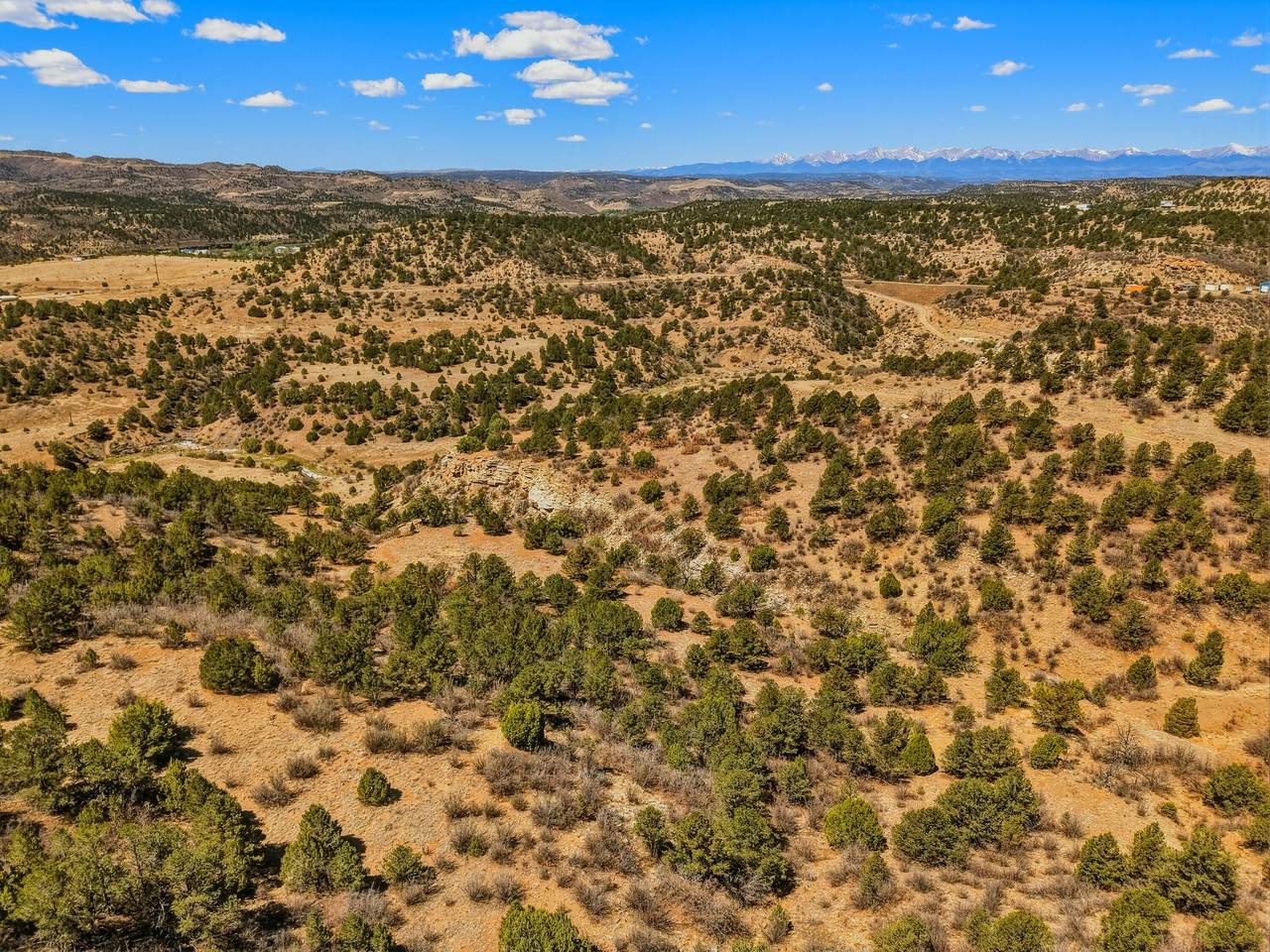 TBD San Juan Mesa Drive - Photo 1