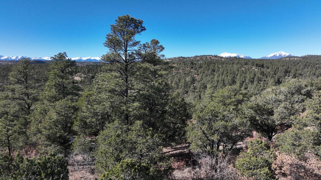 https://bt-photos.global.ssl.fastly.net/spanishpeaks/1280_boomver_1_26-505-2.jpg