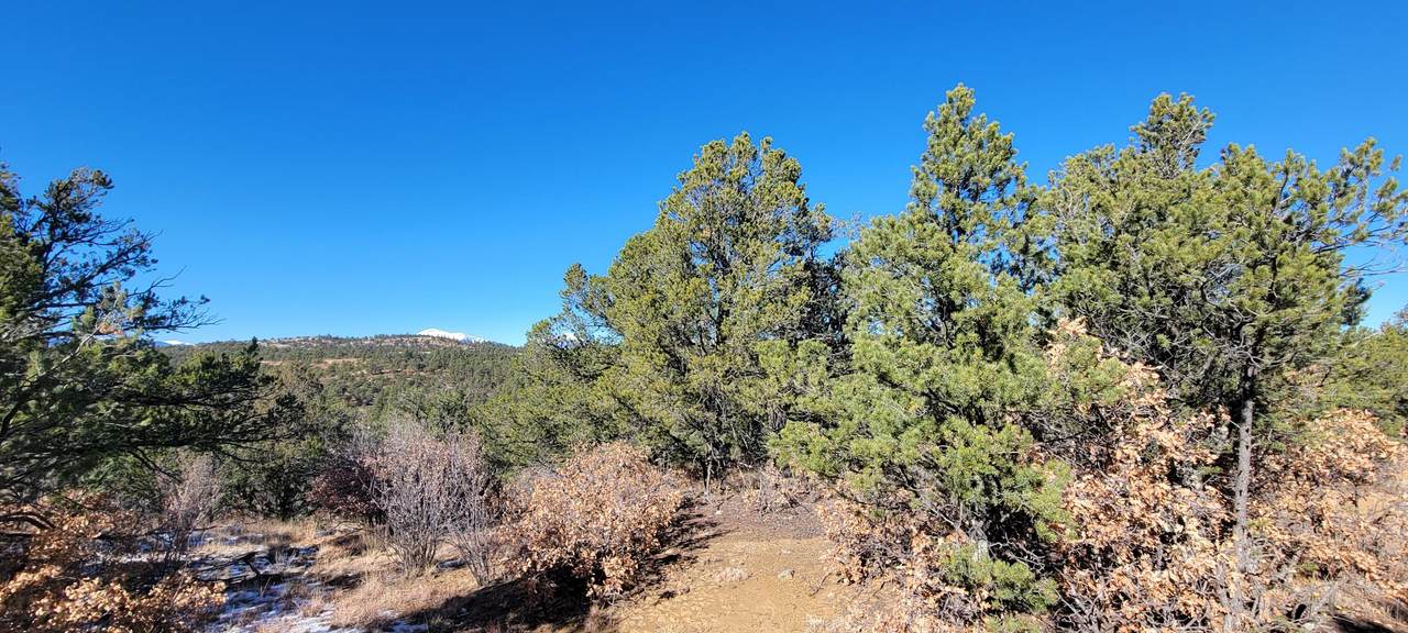 https://bt-photos.global.ssl.fastly.net/spanishpeaks/1280_boomver_1_26-505-2.jpg