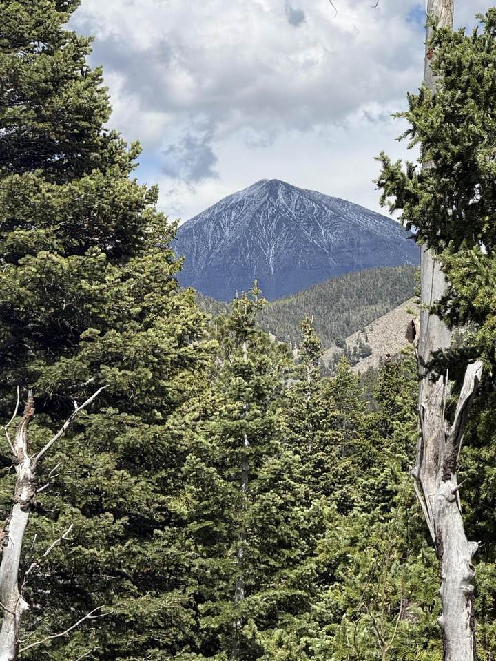  Baker Creek Road - Photo 1