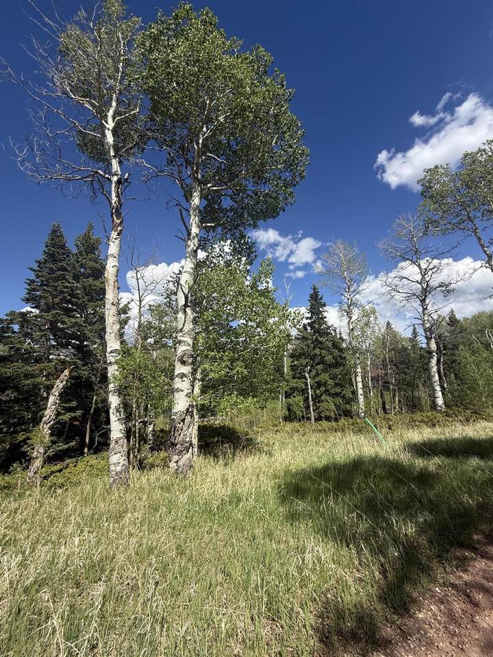 https://bt-photos.global.ssl.fastly.net/spanishpeaks/1280_boomver_1_26-534-2.jpg