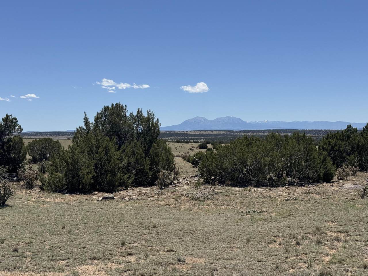 169 Tyrone Hills - Photo 1