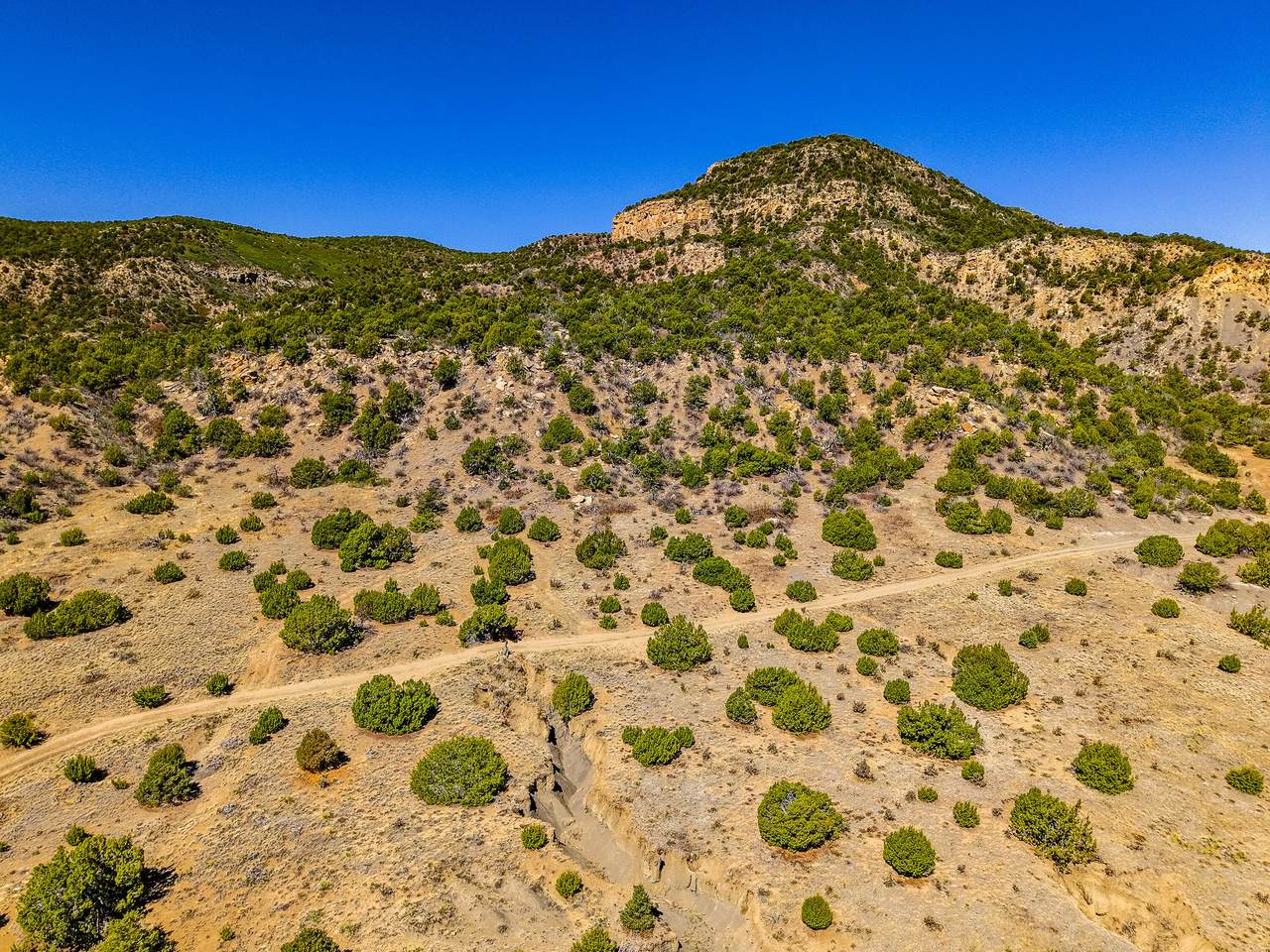 TBD Old Wagon Road Pkwy - Photo 1