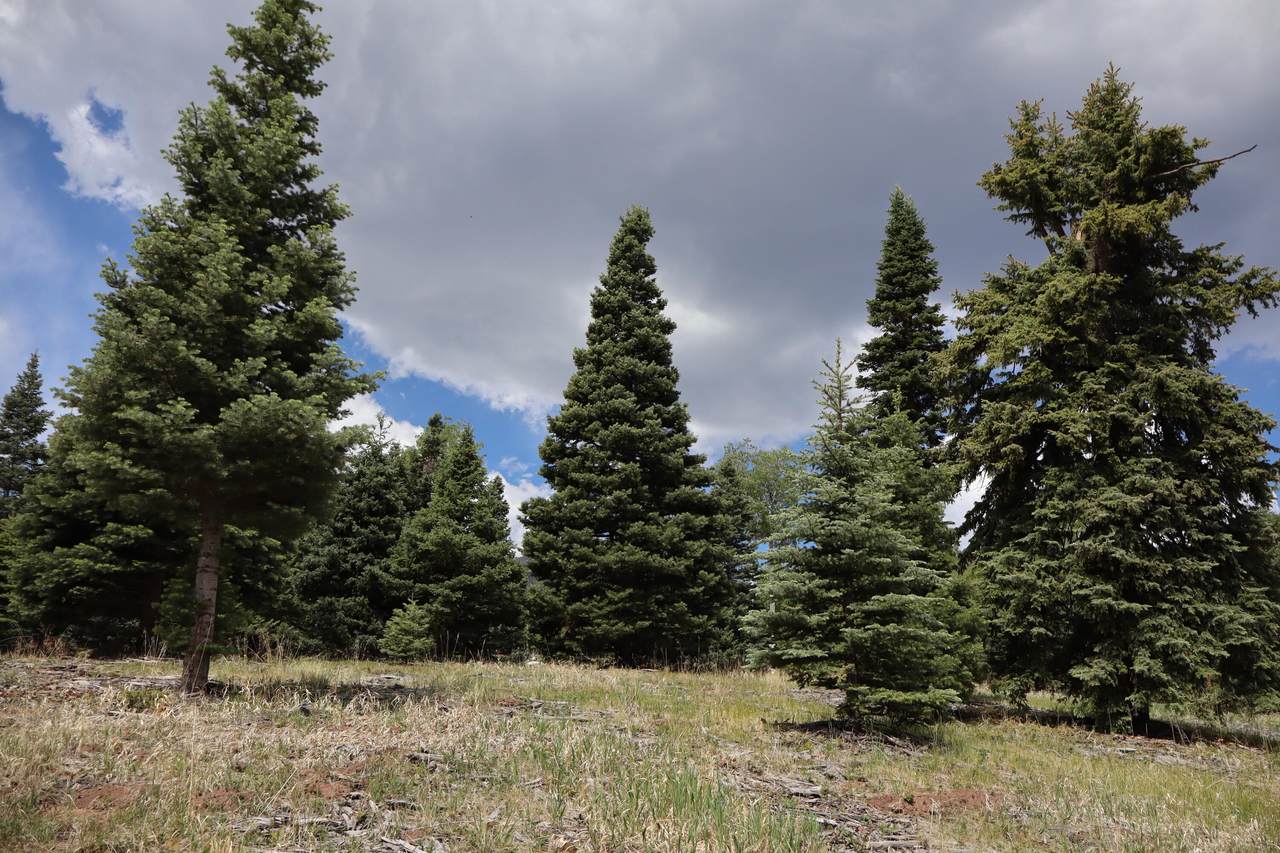 https://bt-photos.global.ssl.fastly.net/spanishpeaks/1280_boomver_1_26-569-2.jpg