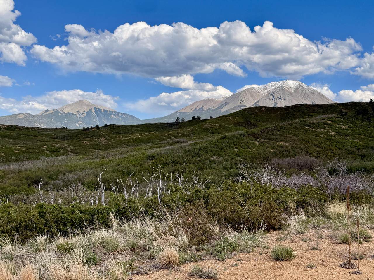  Spanish Peaks Trail - Photo 1