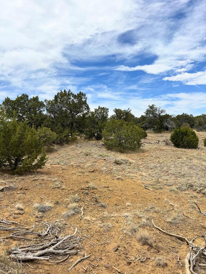 https://bt-photos.global.ssl.fastly.net/spanishpeaks/1280_boomver_1_26-598-2.jpg