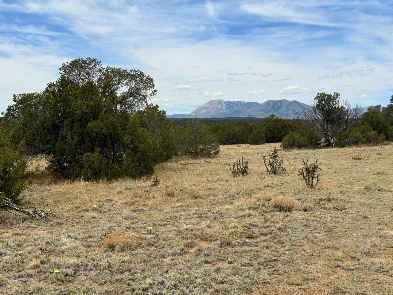 https://bt-photos.global.ssl.fastly.net/spanishpeaks/1280_boomver_1_26-598-2.jpg