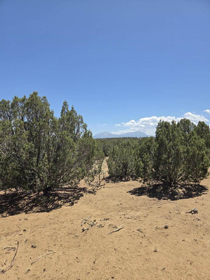 https://bt-photos.global.ssl.fastly.net/spanishpeaks/1280_boomver_1_26-599-2.jpg