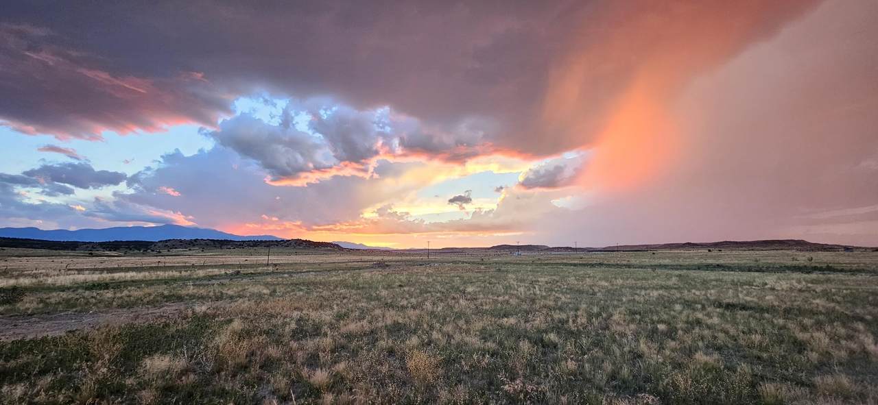 65 Ghost River Ranch - Photo 1