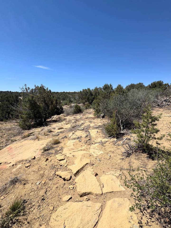 https://bt-photos.global.ssl.fastly.net/spanishpeaks/1280_boomver_1_26-643-2.jpg