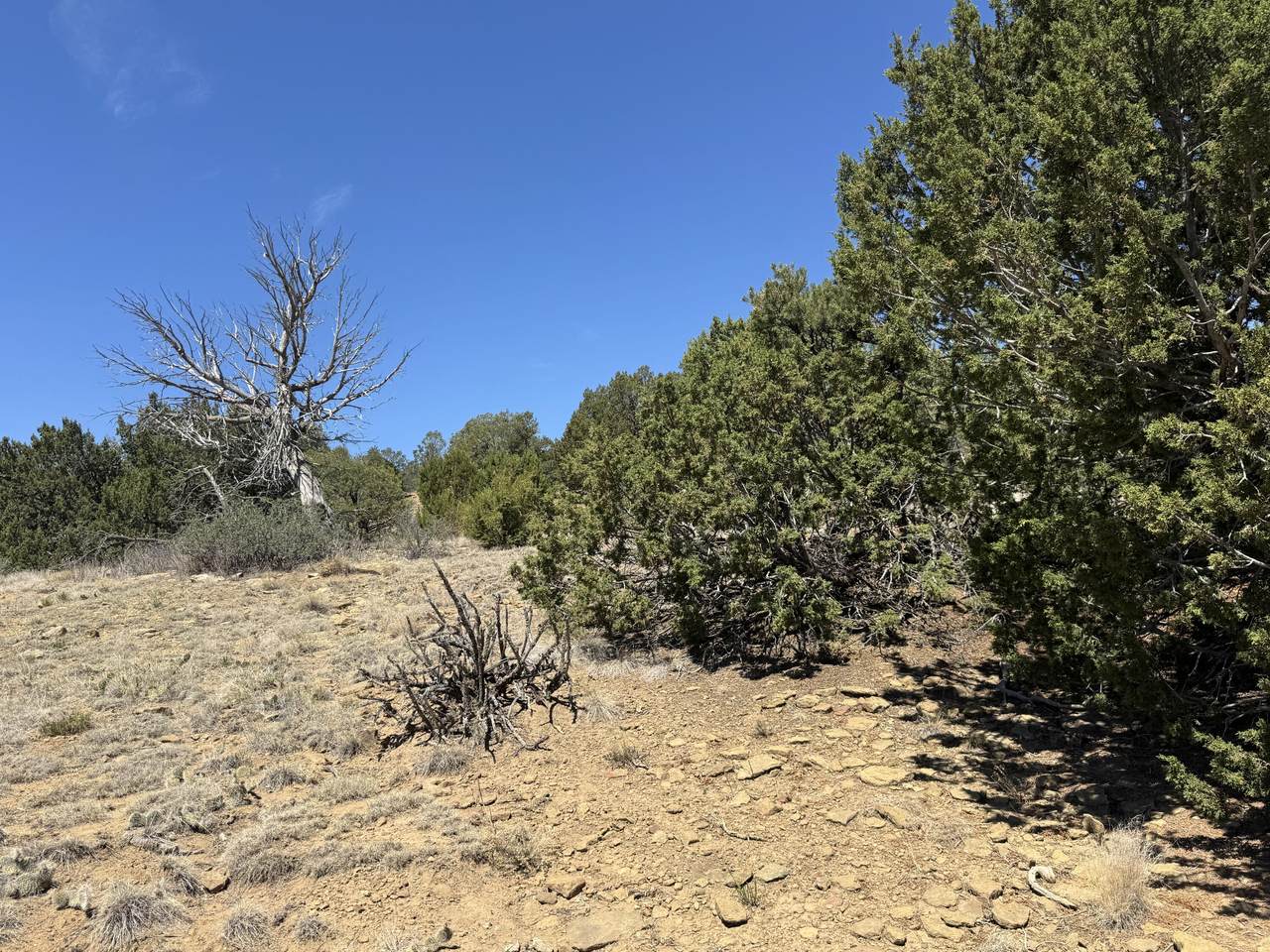 https://bt-photos.global.ssl.fastly.net/spanishpeaks/1280_boomver_1_26-643-2.jpg