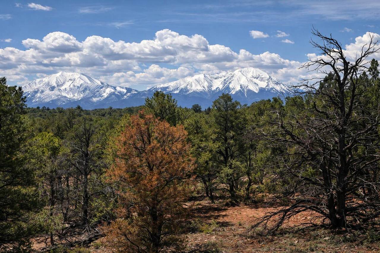 28 Navajo Ranch Resorts #2 - Photo 1
