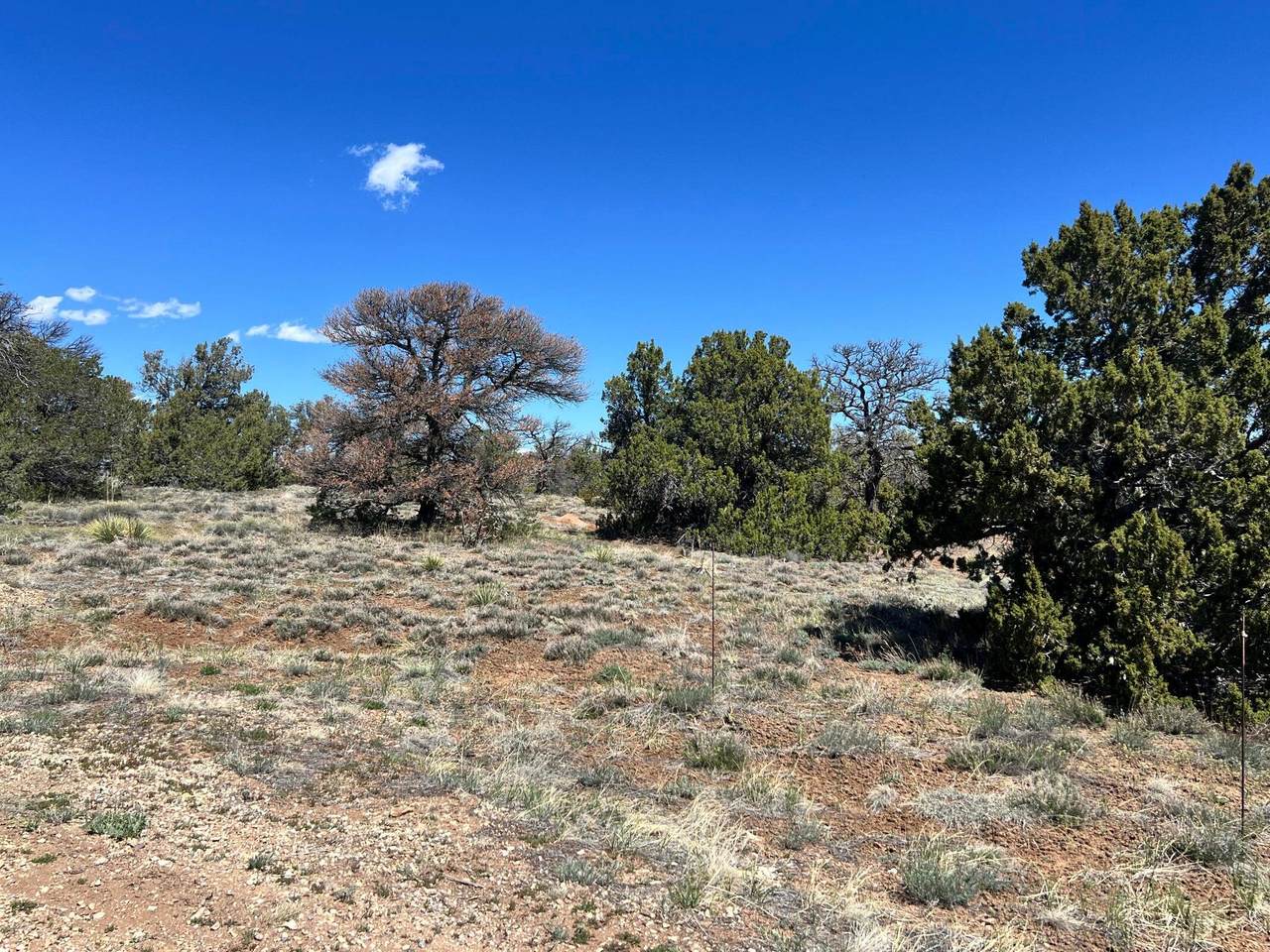 https://bt-photos.global.ssl.fastly.net/spanishpeaks/1280_boomver_1_26-656-2.jpg