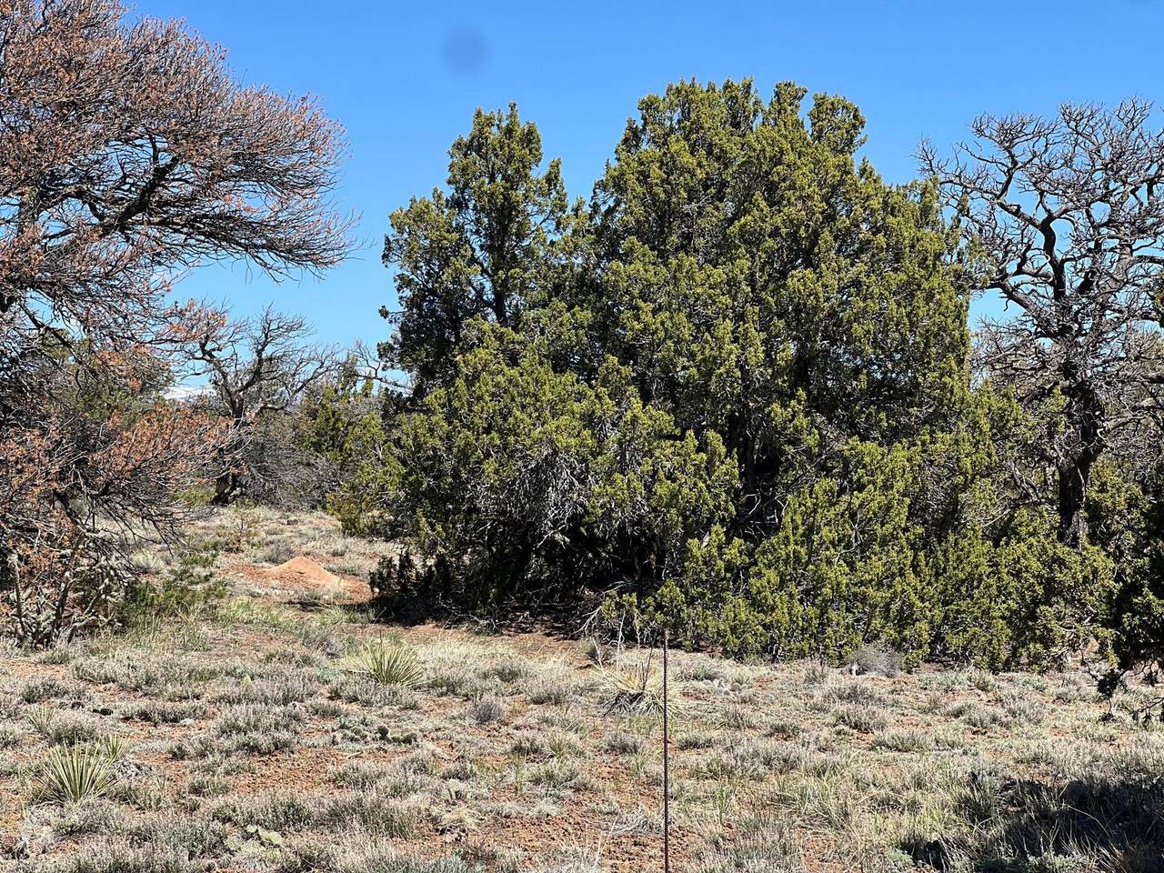https://bt-photos.global.ssl.fastly.net/spanishpeaks/1280_boomver_1_26-656-2.jpg