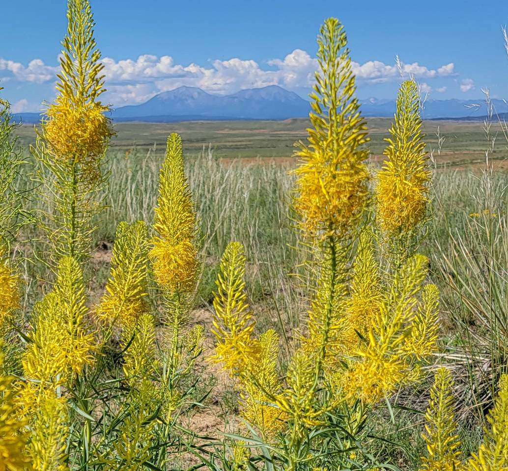 https://bt-photos.global.ssl.fastly.net/spanishpeaks/1280_boomver_1_26-672-2.jpg