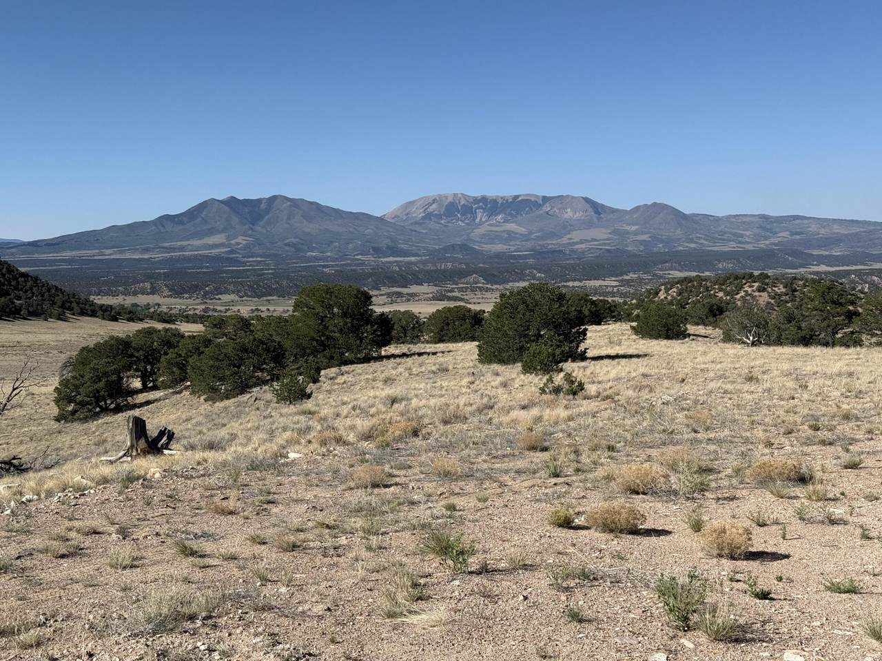 26 Turkey Creek Ranch - Photo 1