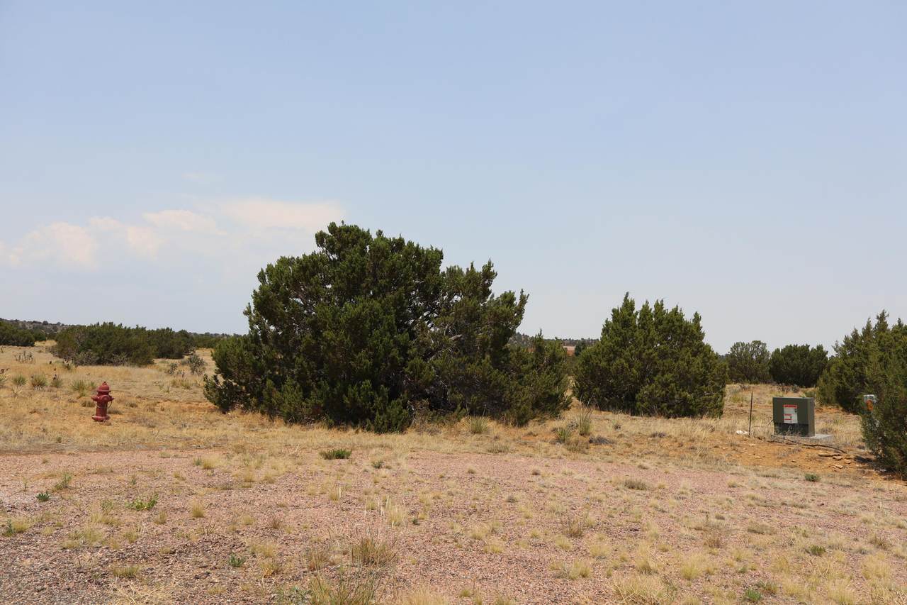  Black Diamond Park Lot 11 - Photo 1