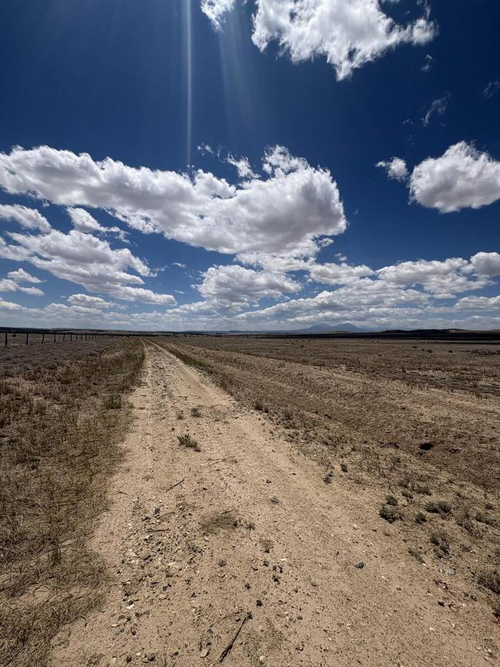 222 & 224 Turkey Ridge Ranch - Photo 1