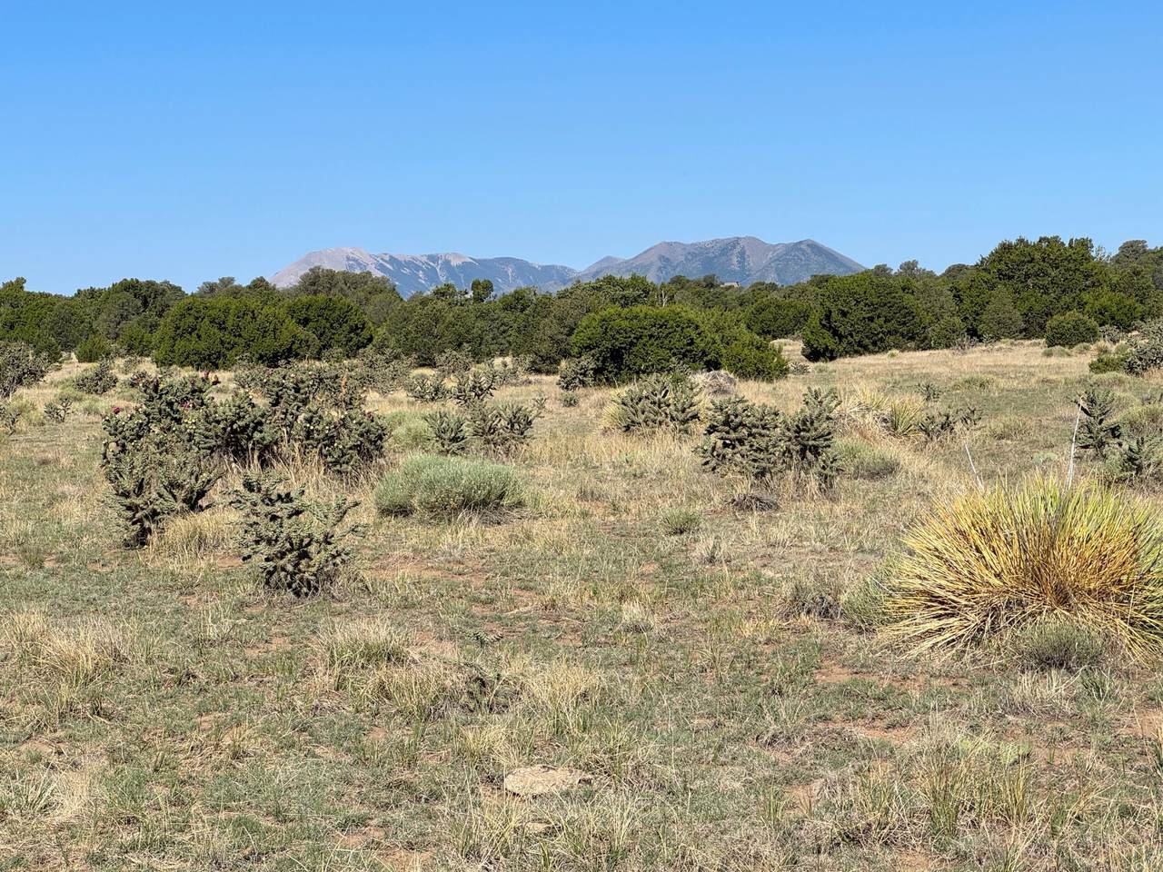 https://bt-photos.global.ssl.fastly.net/spanishpeaks/1280_boomver_1_26-693-2.jpg