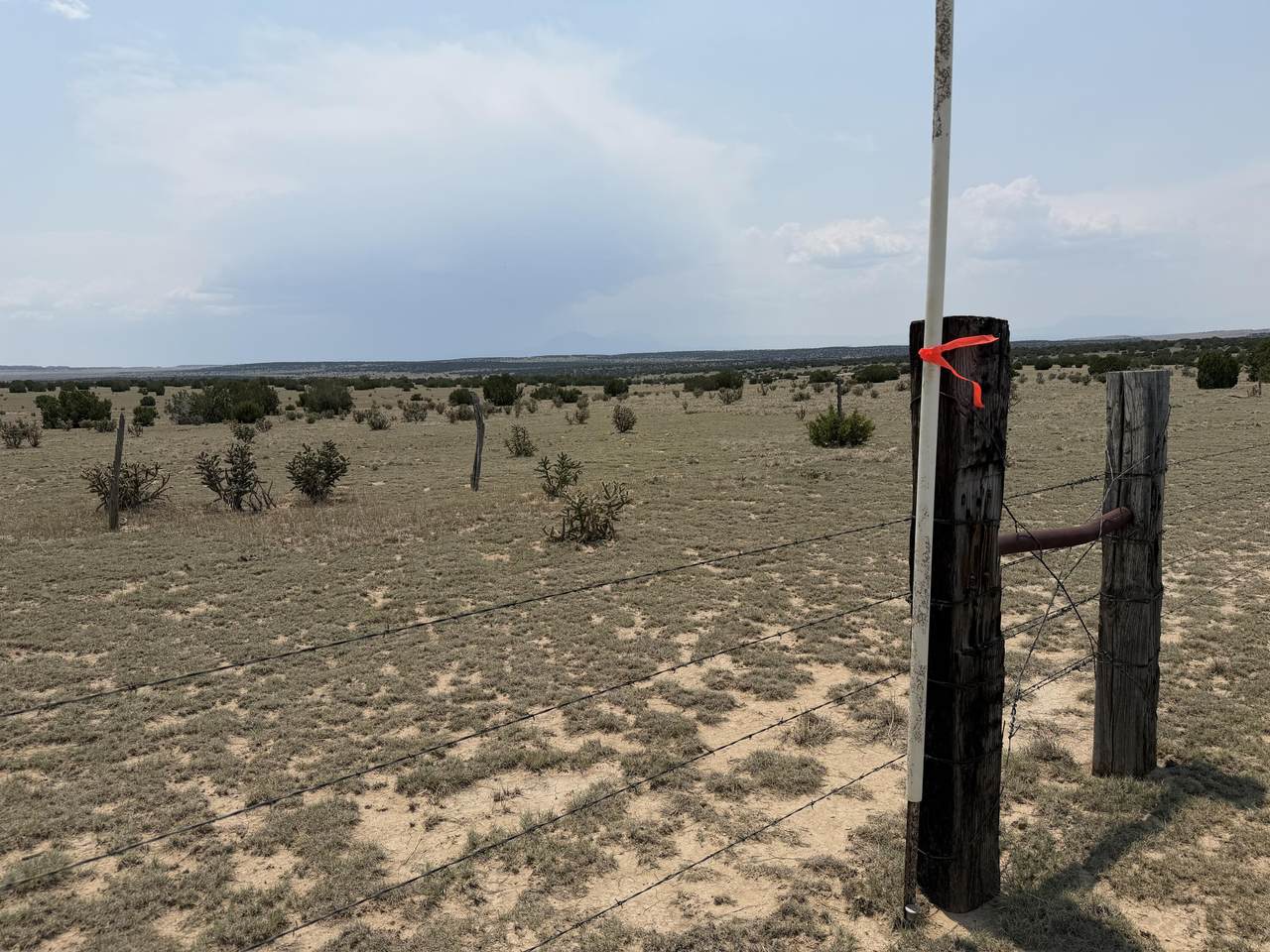 Lot 167 Tyrone Hills Ranch - Photo 1