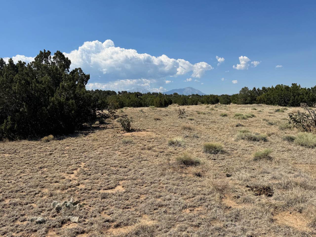 https://bt-photos.global.ssl.fastly.net/spanishpeaks/1280_boomver_1_26-698-2.jpg