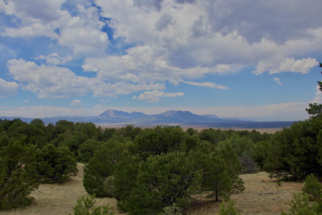 TBD La Veta Pines Ranch - Photo 1
